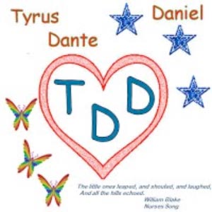 logo for the TDD triathlon and fundraiser
