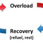 Overload and recovery by nutrition and rest lead to improvement