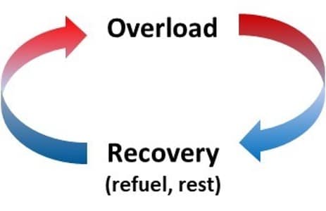 Overload and recovery by nutrition and rest lead to improvement