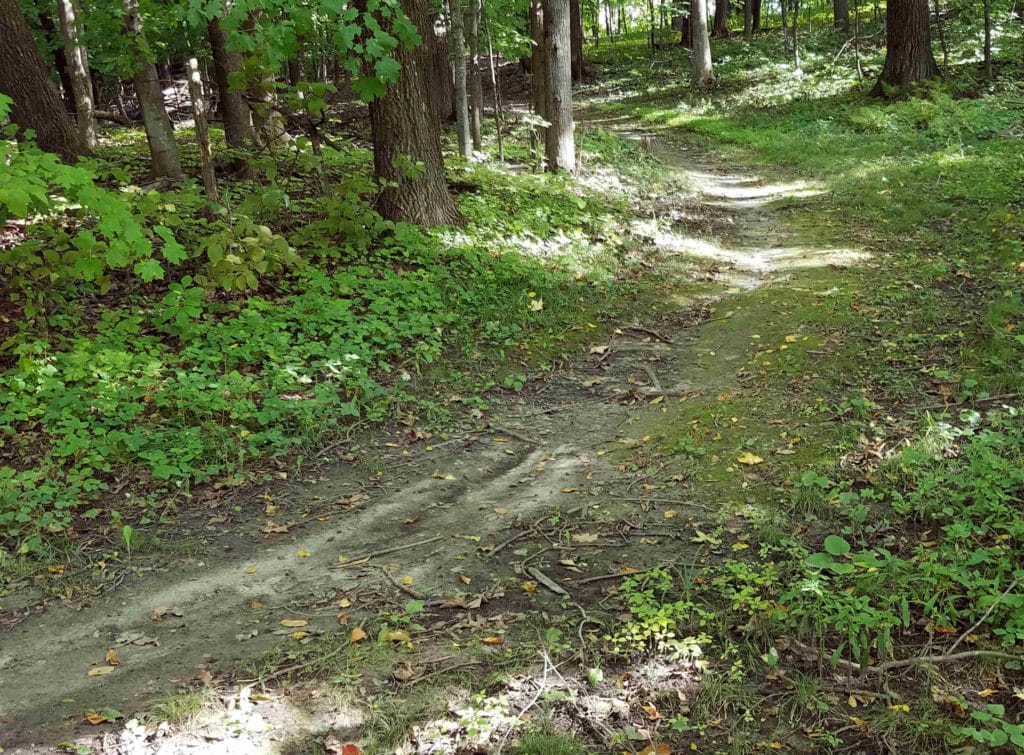 The run course for the Indiana triathlon was on a dirt trail.