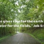 hilly-road-in-Hocking-Hills-Region-Logan-Ohio-triathlon