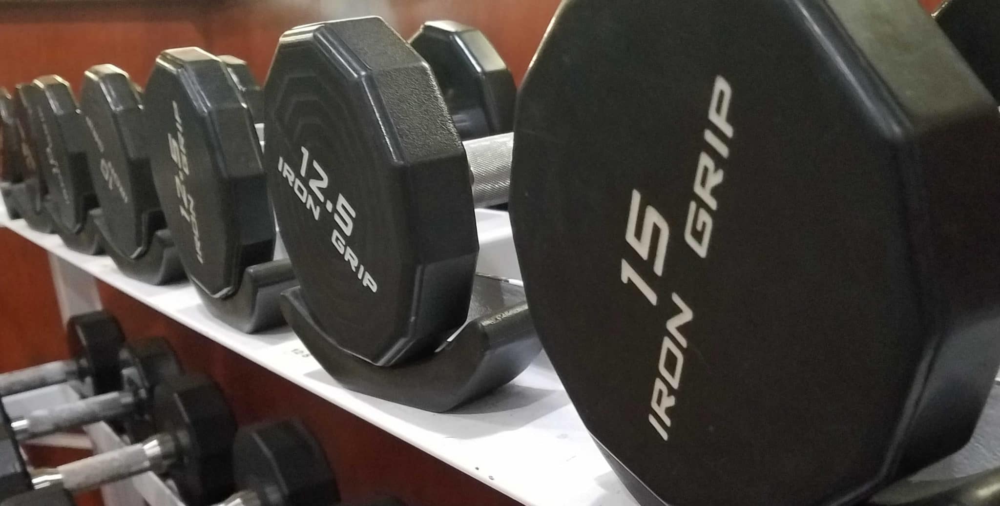 free weights or dumbbells used in strength training