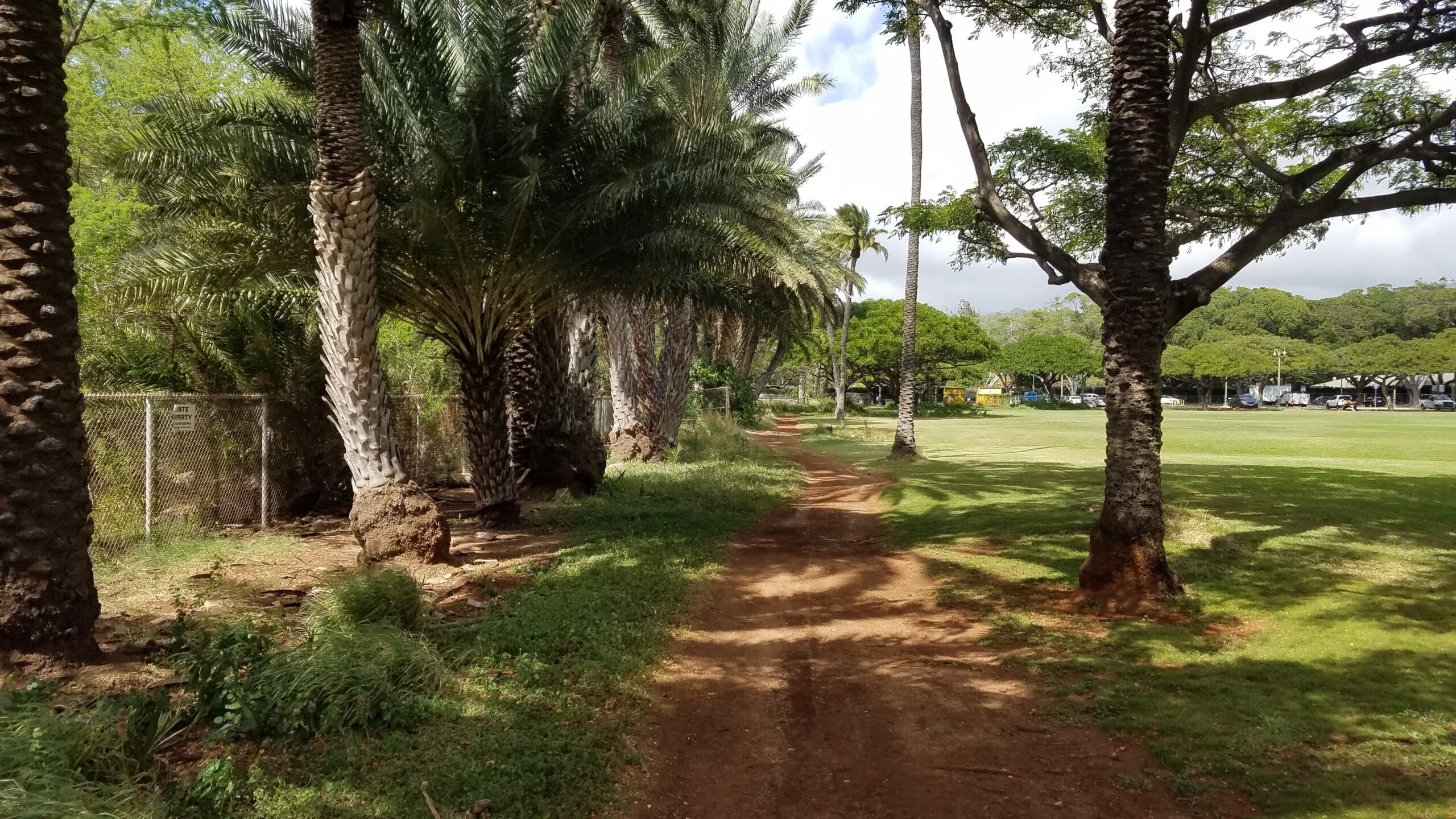 trail running in Hawaii