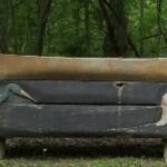 canoe on a log with engraved images of a beaver cutting down a tree and heronimages