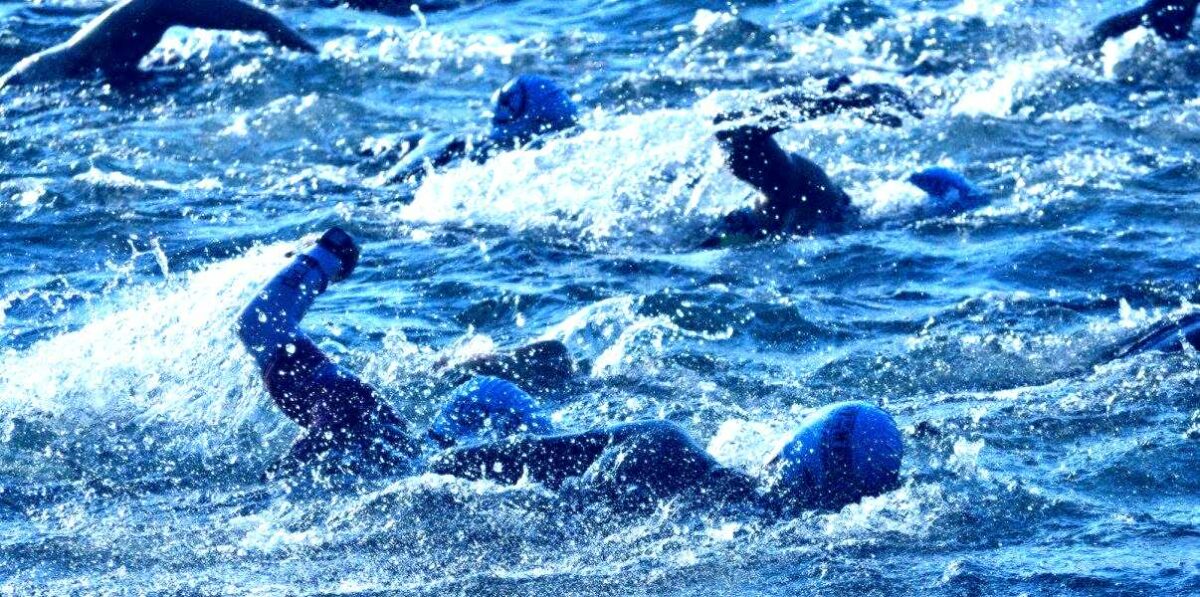swimming in open water requires one to be confident