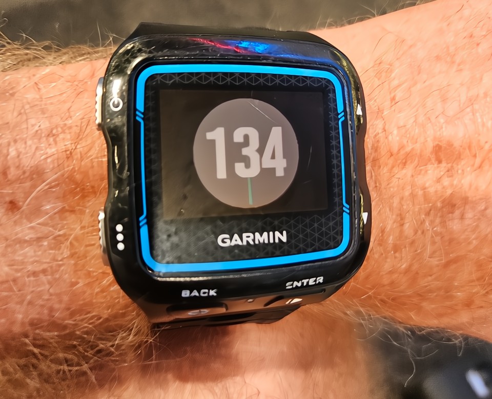 heart rate during exercise displayed on sport watch